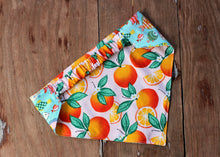 Load image into Gallery viewer, Orange and Fish Scrunchie Reversible Dog Bandana