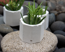 Load image into Gallery viewer, Mini Concrete Planter Set of 3, Octagonal
