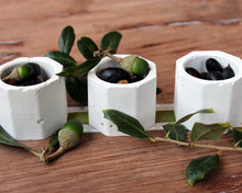 Load image into Gallery viewer, Mini Concrete Planter Set of 3, Octagonal