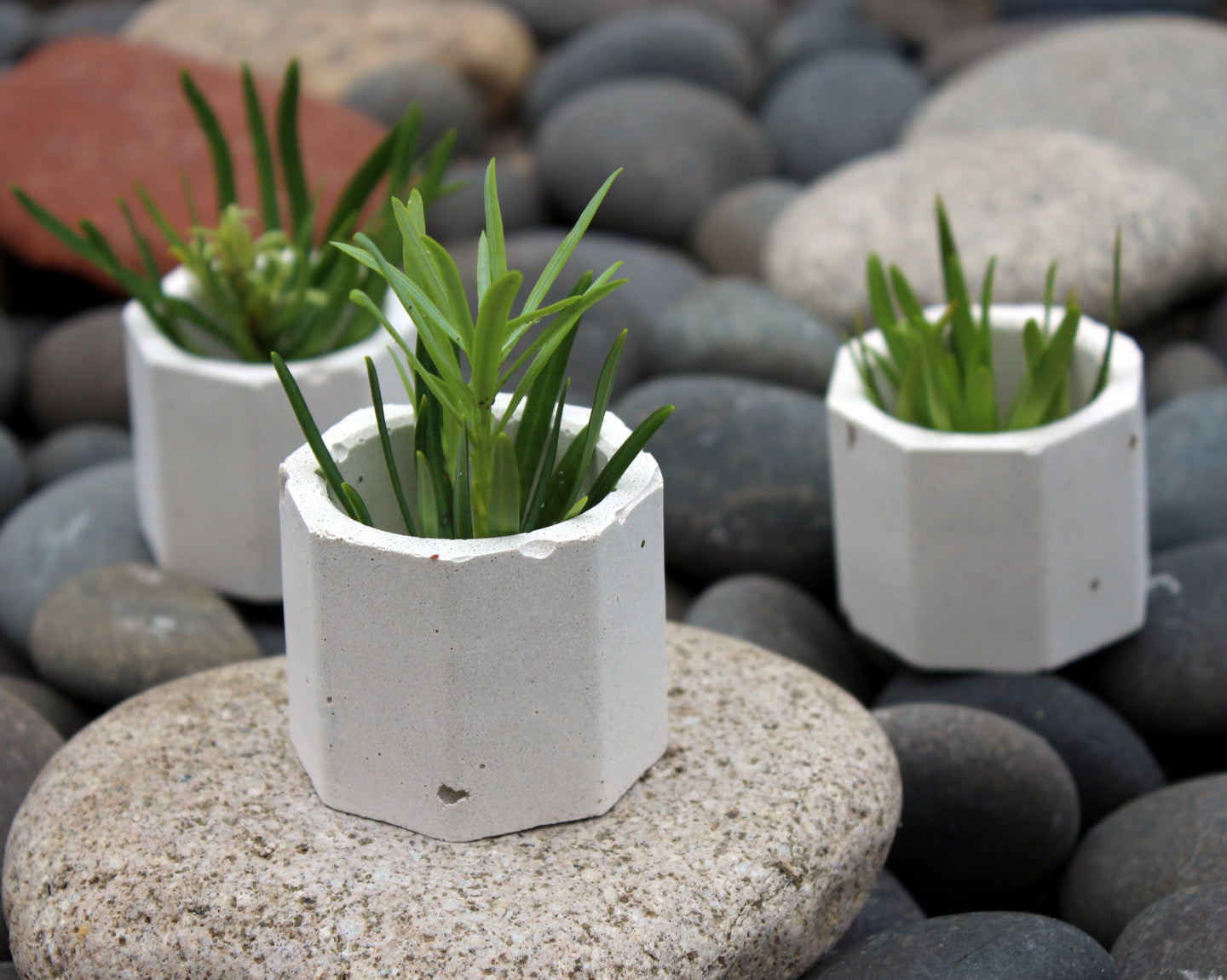 Mini Concrete Planter Set of 3, Octagonal