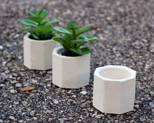Load image into Gallery viewer, Mini Concrete Planter Set of 3, Octagonal
