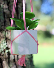 Load image into Gallery viewer, Mini Concrete Planter Set of 3, Octagonal
