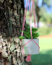 Load image into Gallery viewer, Mini Concrete Planter Set of 3, Octagonal