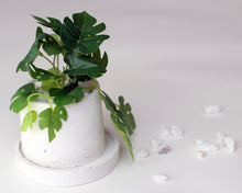 Load image into Gallery viewer, Small Round Concrete Planter with Base