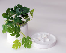 Load image into Gallery viewer, Small Round Concrete Planter with Base