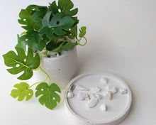 Load image into Gallery viewer, Small Round Concrete Planter with Base