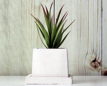 Load image into Gallery viewer, Small Square Planter with Base