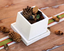Load image into Gallery viewer, Small Square Planter with Base