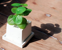 Load image into Gallery viewer, Small Square Planter with Base