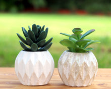 Load image into Gallery viewer, Diamond Design Mini Planter / Pot