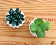 Load image into Gallery viewer, Diamond Design Mini Planter / Pot