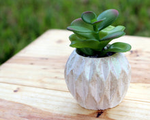 Load image into Gallery viewer, Diamond Design Mini Planter / Pot