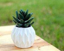 Load image into Gallery viewer, Diamond Design Mini Planter / Pot