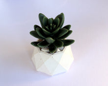 Load image into Gallery viewer, Mini Octagonal Diamond Cut Planter
