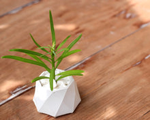 Load image into Gallery viewer, Mini Octagonal Diamond Cut Planter