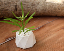 Load image into Gallery viewer, Mini Octagonal Diamond Cut Planter