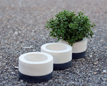 Load image into Gallery viewer, 3 Paint Dipped Round Mini Concrete Planters