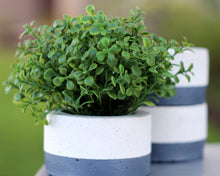 Load image into Gallery viewer, 3 Paint Dipped Round Mini Concrete Planters