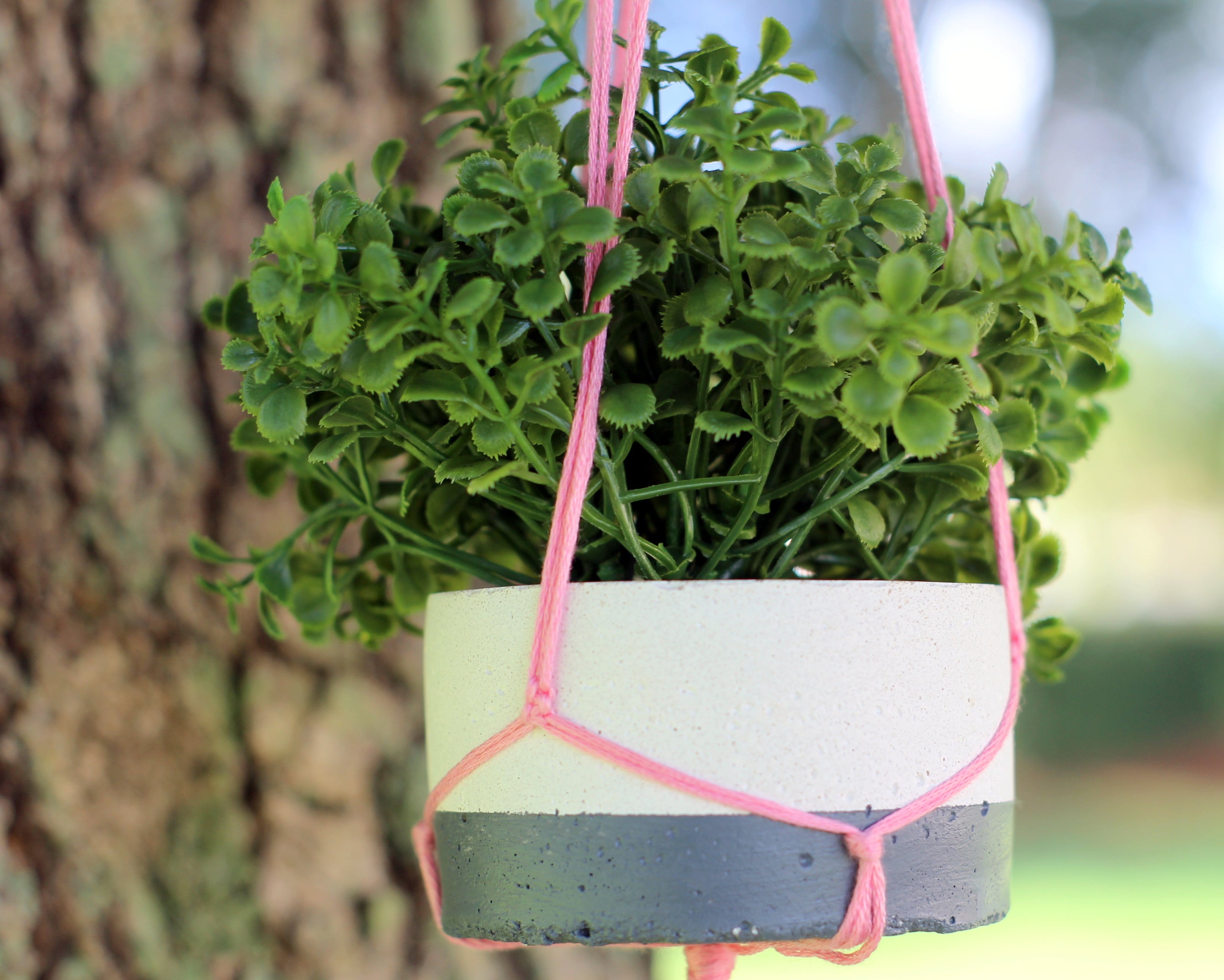 Mini Dipped Paint Can Planters