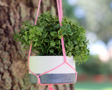 Load image into Gallery viewer, 3 Paint Dipped Round Mini Concrete Planters