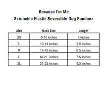 Load image into Gallery viewer, Rainbow and Dog Bone Reversible Dog Bandana
