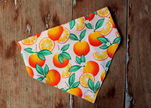 Load image into Gallery viewer, Orange and Fish Scrunchie Reversible Dog Bandana
